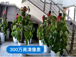 Camera de supraveghere WIFI, rotativa 355 grade