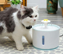 Dispenser automat pentru apa animalelor, 1,5W