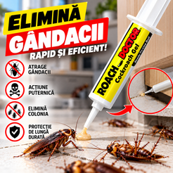 Solutie Insecticid Pentru Gandacilor De Bucatarie, Cu Seringa Dozatoare