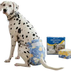 Scutece De Unica Folosinta Pentru Caini Femele | Marime M (30–50 cm, 6–11 kg) | Set 30 Bucati